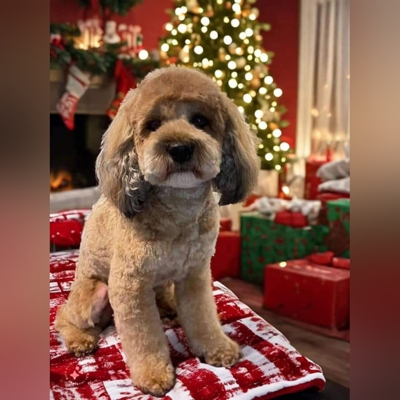 I Consider Offers🌻 - Picture 11 of 14